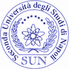 seconda universita studi napoli sun realizzazioni siti web