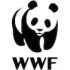 wwf realizzazioni siti web